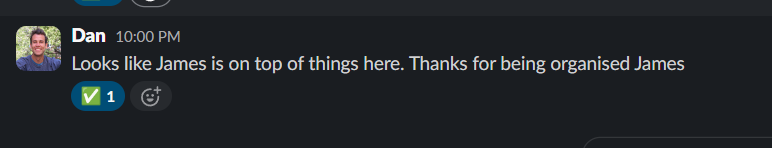 Seo Project Leader Feedback